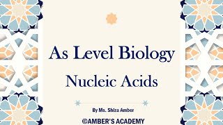 A Level Biology Nucleic Acids  Cambridge 9700  Part 4 [upl. by Dyolf]