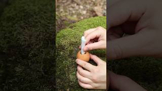 WOW She Сooked an 🥚EGG on EGG survival forest lifehacks bushcraft outdoors camping [upl. by Anya]