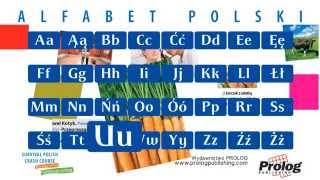 Alfabet polski  Polish Alphabet pronunciation  PROLOG Publishing [upl. by Ttemme]