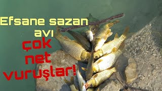 Dip oltası ile sazan avıyaylı sistem ve küspe ÇOK NET VURUŞLAR [upl. by Tarttan]