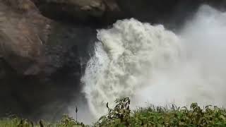 Murchison Falls live  WATER [upl. by Abbi185]