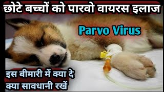 Parvo Treatment for Puppy कुत्ते के छोटे बच्चों को पार्वो वायरस इलाज क्या सावधानी [upl. by Dirrej]