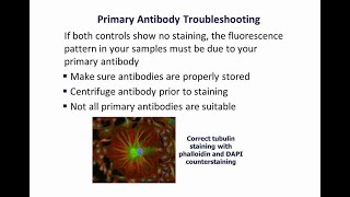 Staining technique in Cell biology  Simple and differential staining  Video 19 [upl. by Swane]