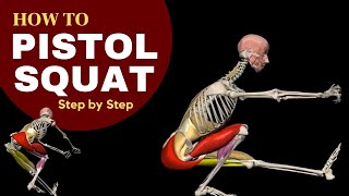 The anatomy of the Pistol Squat StepbyStep Progression 3D anatomy [upl. by Anilahs]