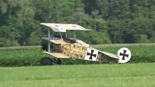 National Warplane Museum Geneseo Air Show 2024 Fokker D VII amp Dr I triplane replicas [upl. by Placia]