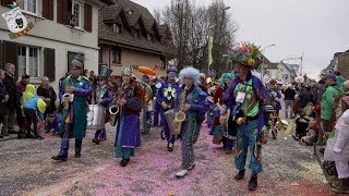 Guggenmusik Quastenflosser Hinterthurgau Groppenfasnacht Ermatingen 11032018 [upl. by Prince]