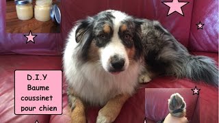 DIY baume coussinets pour chien [upl. by Atinuahs422]