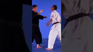 AGAINST ROUNDHOUSE PUNCH KENPO [upl. by Kopp]