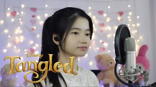 I See The Light  Tangled  Shania Yan Cover [upl. by Phaih]