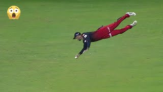 Glenn Maxwell 10 Brilliant Catches In Cricket Ever 🔥 [upl. by Ashatan]