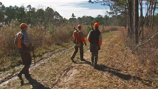 Woodcock Hunting at Copiah County WMA [upl. by Iver191]