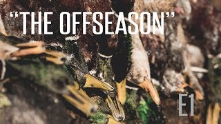 quotThe Offseasonquot E1 Waterfowl HuntingFowled Reality [upl. by Edva]