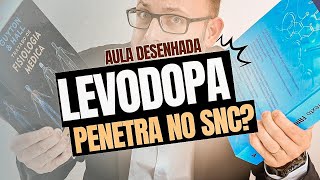 AULA DESENHADA  A Levodopa e a doença de Parkinson  Prof José [upl. by Brooking]