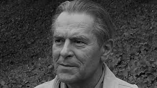 Stanislav Grof  The Cosmic Game [upl. by Ellenod348]