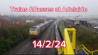 Trains and Busses at Adelaide 14224 [upl. by Deanna636]