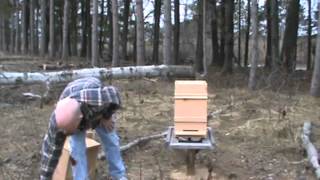 How to set up a Warre hive [upl. by Haelhsa]