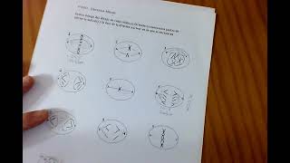 Ejercicios Mitosis Meiosis [upl. by Agee]