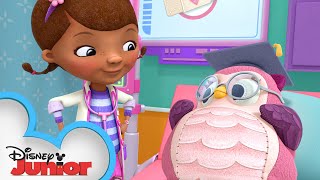 Docs Medical School 🏥  Doc McStuffins  Disney Junior [upl. by Harmonie]