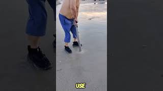 Sprinkling Salt Makes Razor Clams Emerge from the Sandshortsfeed shortsviral shortsyoutube [upl. by Hurley]