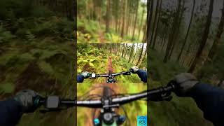 Baiersbronn Trails foryou mtb germany romania bikelife mountainbike viralvideo shorts [upl. by Sidoney]