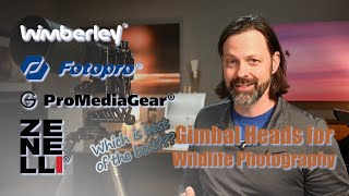 Gimbals for Wildlife Comparing the Best of the Best [upl. by Ranchod]