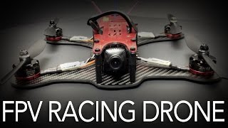 I Made My Own FPV Race Drone [upl. by Dachy]