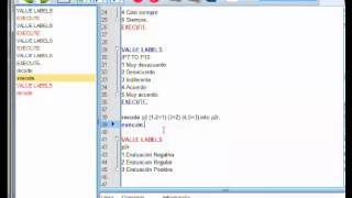 Práctica SPSS sintaxis etiquetas [upl. by Doralynn373]