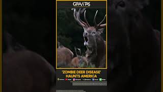 Experts raise alarm over spread of zombie deer disease in the US  WION Shorts [upl. by Akkahs]