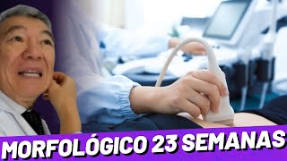 MORFOLÓGICO DE 23 SEMANAS [upl. by Mitchael]