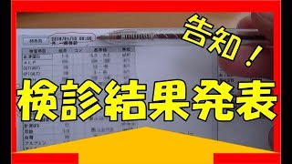 健康診断結果発表 予告編 [upl. by Eniamaj570]