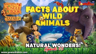 NATURAL WONDERS 5  FACTS ABOUT WILD ANIMAL  Jungle Book Safari  Planet Animal  Animal Kingdom [upl. by Eeralih]