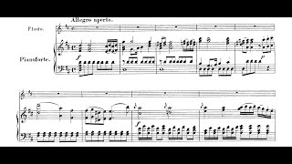 Mozart Flute Concerto in D major K314 Movement I piano accompaniment with score [upl. by Ahsenrad]