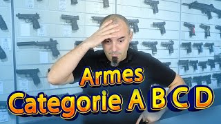 Armes Catégorie A B C D  Quest ce que cest  comment ça marche [upl. by Erlina]