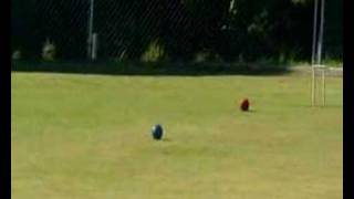 Golf Croquet World Champs Quarter Final [upl. by Sibby]