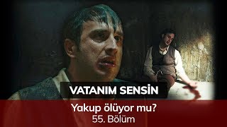 Yakup ölüyor mu  Vatanım Sensin 55 Bölüm [upl. by Nepsa]