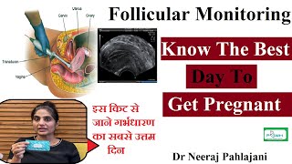 Follicular Study in Hindi  Dr Neeraj Pahaljani [upl. by Allayne]