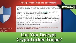 What To Do When CryptoLocker Holds Your Data Ransom [upl. by Halilad614]