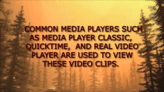 Video Clips  Extreme video websites [upl. by Reckford]