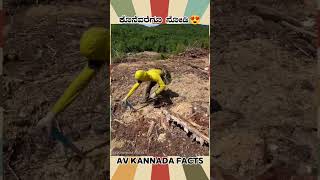 Tree Planting Man Facts Video  kannada facts karnataka amezing youtubeshorts trendingshorts [upl. by Zeuqirdor]