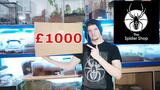 TheSpiderShop £1k Mystery Box  They Sent Me What [upl. by Garrot]