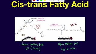 Cis vs trans fatty acids and their relative melting point [upl. by Magee]