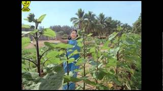 Neelakasam lo oka taraka  Songs  Mangalyabalam Shoban Babu  Radhika [upl. by Letha]