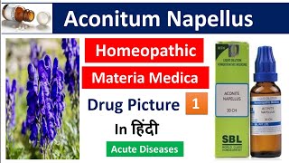 Aconitum Napellus Homeopathic Medicine in Hindi  Drug Picture  Materia Medica bhms [upl. by Zurek178]