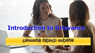 Introduction to Grievance Handling  දුක්ගැනවිලි පිළිබඳ හැදින්වීම [upl. by Aitahs]