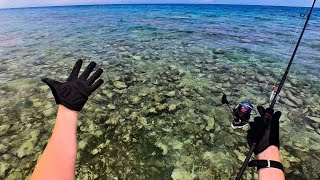 Flats Fishing On Tropical Island  Maldives Fishing For Reef Fish [upl. by Alacim100]