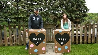 Twin Gender Reveal [upl. by Shelia]