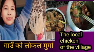 lokal kukhura ko recipe गाउँ को लोकल मुर्गा The local chicken of the village [upl. by Eelatsyrc]