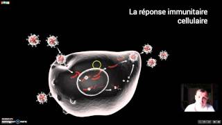 La réponse immunitaire à médiation cellulaire [upl. by Brewer]