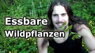 Essbare Wildkräuter Teil 3 Wildpflanzen im Frühling und Frühsommer [upl. by Emery231]