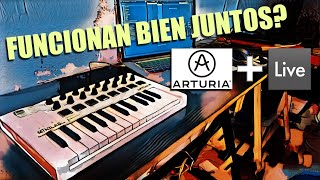 CÓMO USAR ARTURIA MINILAB MKII con ABLETON LIVE Explicación y LiveSet [upl. by Llenrahc]